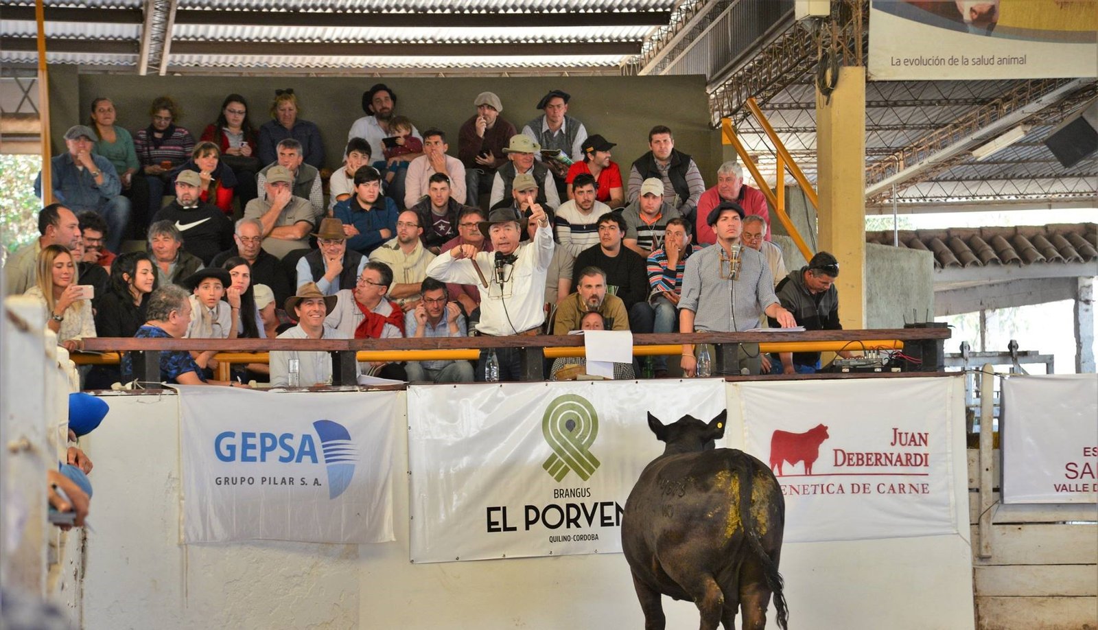 Remate Anual10